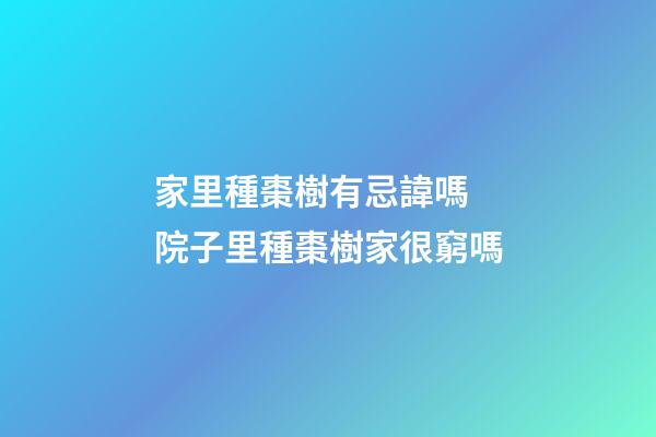 家里種棗樹有忌諱嗎 院子里種棗樹家很窮嗎